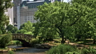 istock Central park at New York 532424134