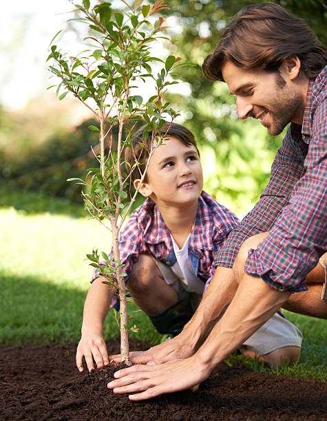 Learning about gardening from Dad Shot of a little boy and his dad planting a tree in their garden Arbor Day stock pictures, royalty-free photos & images