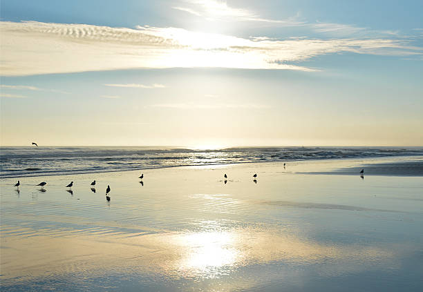 istock Beautiful beach at sunrise. 532443587