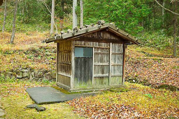 istock Wooden hut on an autumn forest 532444835