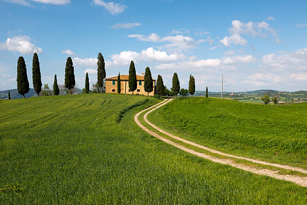 istock Farmhouse and cypress trees 532445489