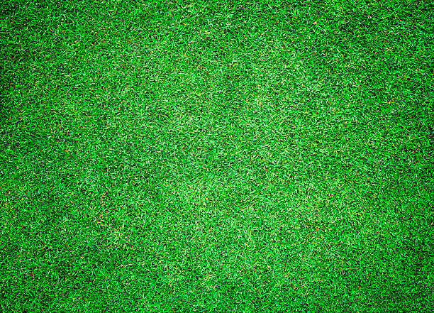 istock greensward football 532447451