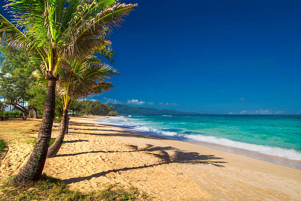 istock Paia Beach, north shore, Maui, Hawaii 532448105
