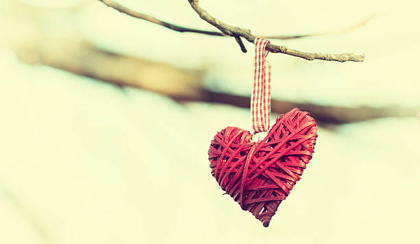 istock Heart on the branch 532448289