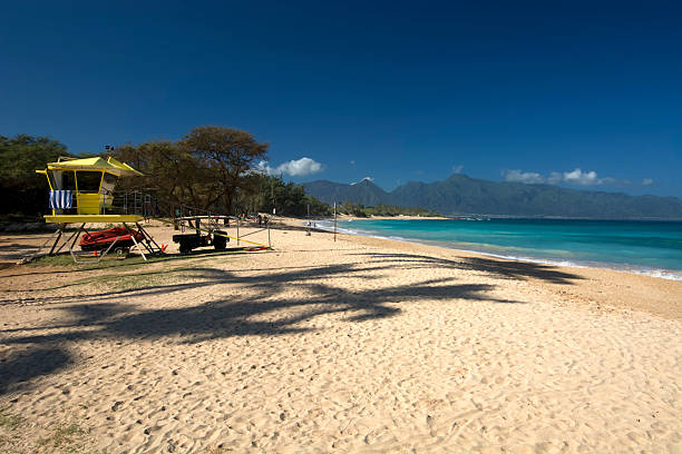 istock Baldwin Beach, north shore, Maui, Hawaii 532448313