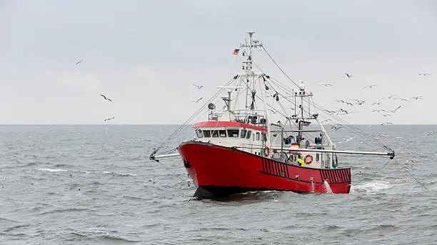 Shrimper at the North Sea not far from Helgoland (Germany). Many seagulls are flying around the ship.
