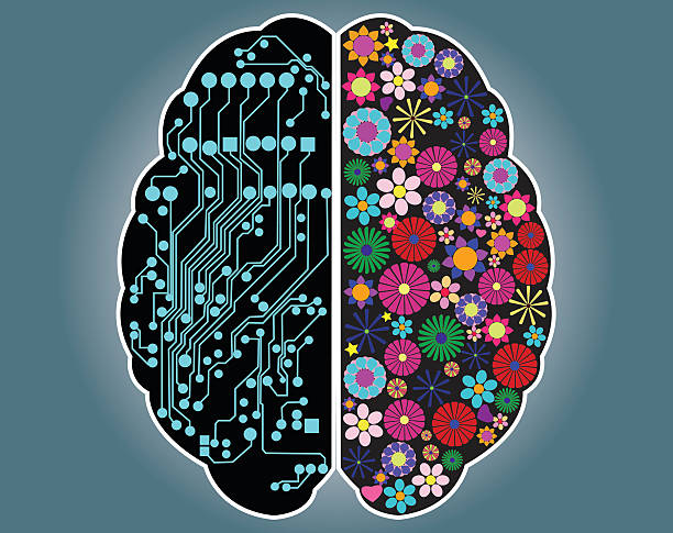 270+ Left Brain Right Brain Stock Illustrations, Royalty-Free