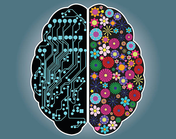 Left and right side of the brain, logic and creativity, vector Left and right side of the brain, logic and creativity, vector animal brain stock illustrations