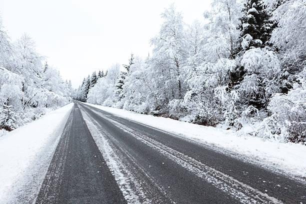 istock Hoge venen in snow 532465913