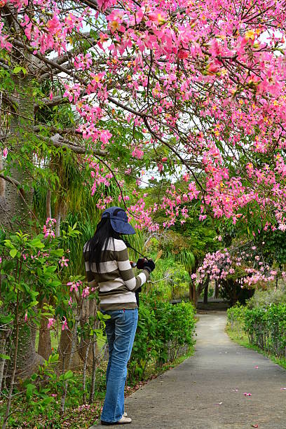 istock Travel and take photo 532466037
