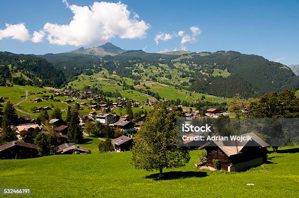 Grindelwald Switzerland Stock Photo - Download Image Now - Chalet, European Alps, Grass