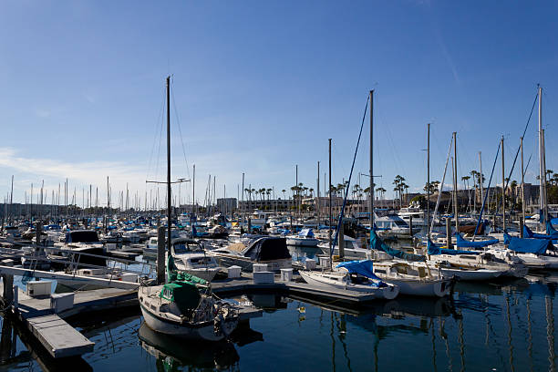 istock Boats at a Marina 532466949
