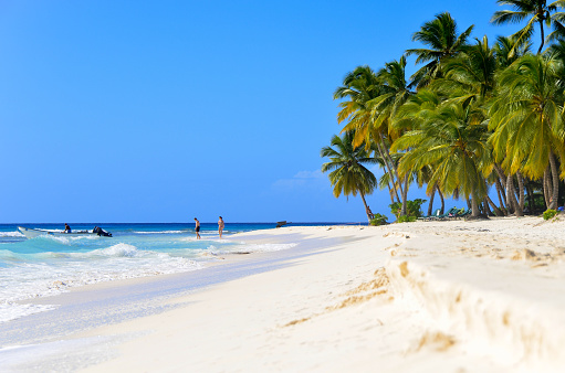 Sandy beach in the Dominican Republic