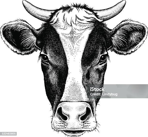 Black And White Cow With Horns Stock Illustration - Download Image Now - Cow, Illustration, Dairy Cattle