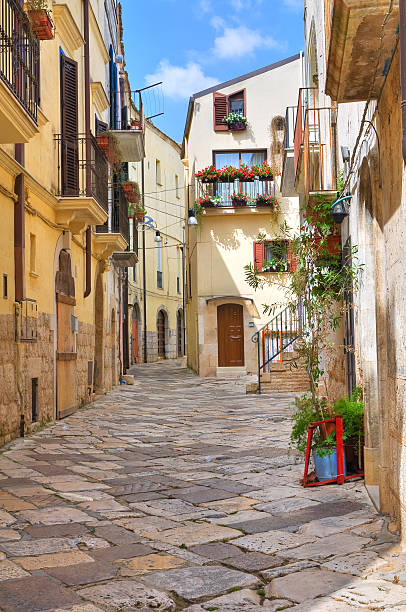 istock Alleyway. Altamura. Puglia. Italy. 532484821