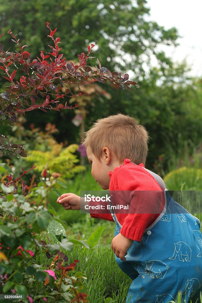 Baby doing some gardening Baby - Human Age Stock Photo