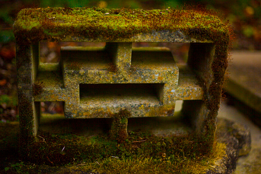 japanese green mossy brick in the garden