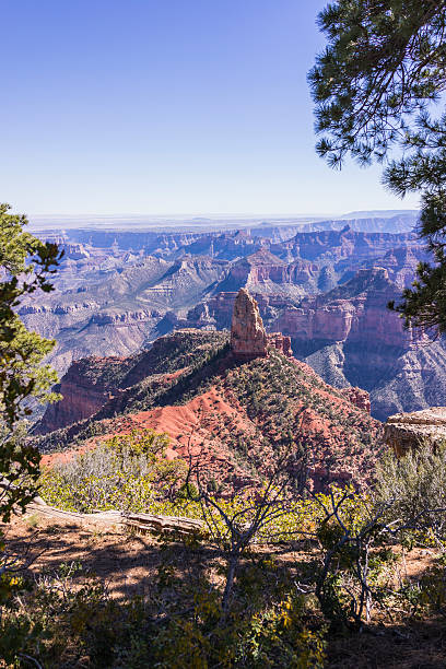 グランド・キャニオン国立公園がございます。ノースリムます。ポイントイアンペリアルからの眺め - north american tribal culture grand canyon indian culture navajo ストックフォトと画像