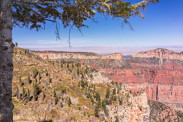 グランド・キャニオン国立公園がございます。ノースリムます。ポイントイアンペリアルからの眺め - north american tribal culture grand canyon indian culture navajo ストックフォトと画像