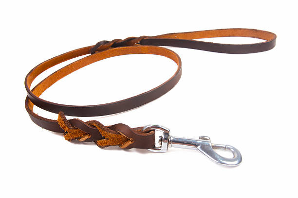 Dog leather leash Dog leather leash on a white background belt leather isolated close up stock pictures, royalty-free photos & images