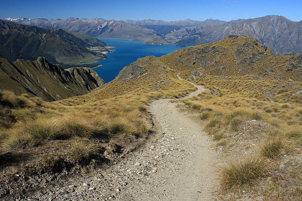 istock footpath above lake Hawea, New Zealand 532517759