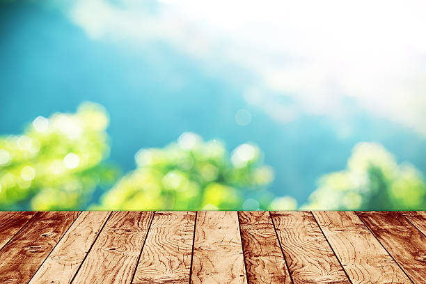 istock Sunny abstract green nature background 532519153