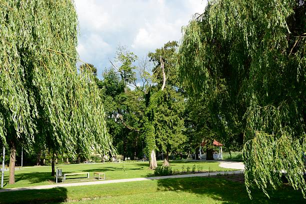 istock Green parks in Poland 532520325