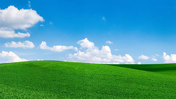 istock Panoramic spring landscape 64Mpix XXXXL size- green field, blue sky 532520567