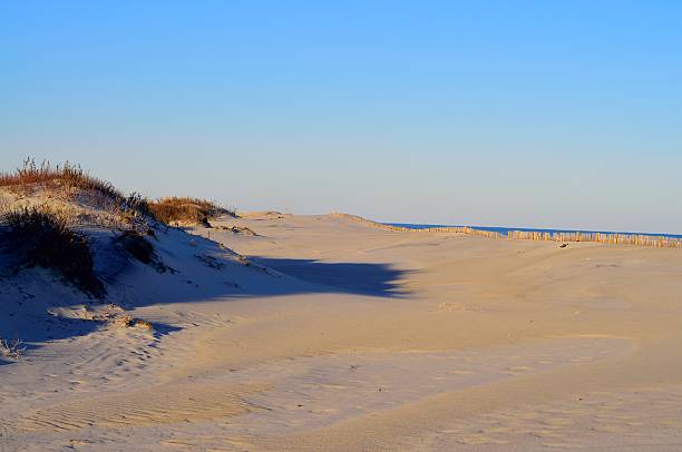 istock Assateague Island Beach In Winter 532520741