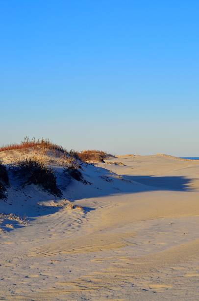 istock Assateague Island Beach Dunes In Winter 532520743