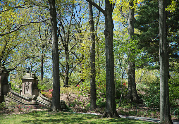 istock Central Park, New york 532521639