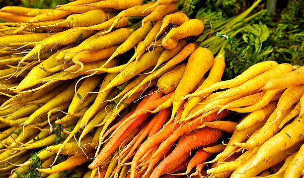 Carrot Karussell – Foto