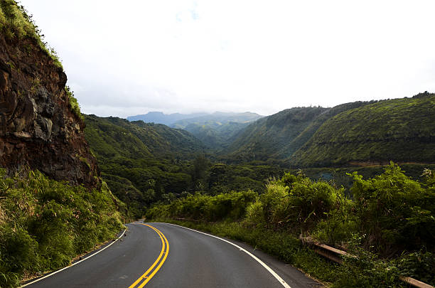 On the road On the road in Maui, Hawaii hana coast stock pictures, royalty-free photos & images