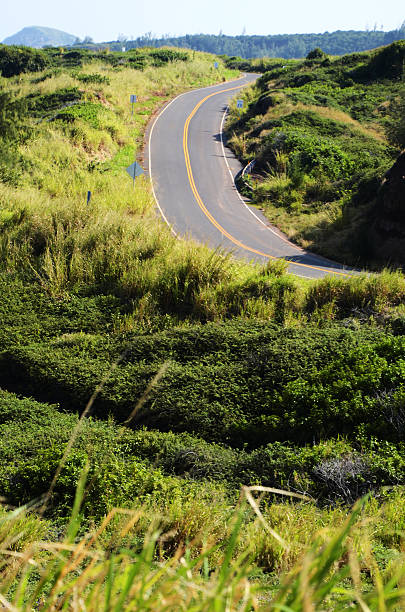 No one Road of Maui in the middle of the nature hana coast stock pictures, royalty-free photos & images