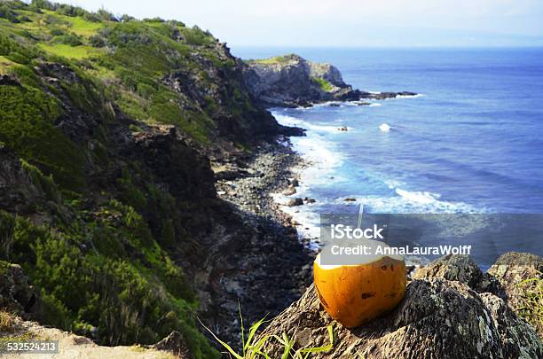 Coconut Stock Photo - Download Image Now - 2015, American Culture, Archipelago