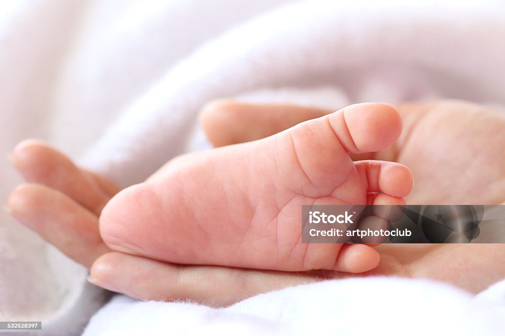 newborn baby feet on female hand 2015 Stock Photo