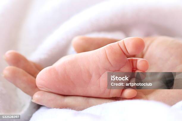 Newborn Baby Feet On Female Hand Stock Photo - Download Image Now - 2015, Adult, Affectionate