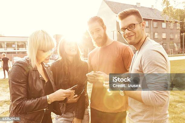 Group Of Friends Using Smart Phones At Sunset Stock Photo - Download Image Now - 2015, Adult, Beard