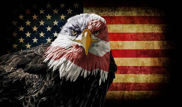 American Bald Eagle on Grunge Flag