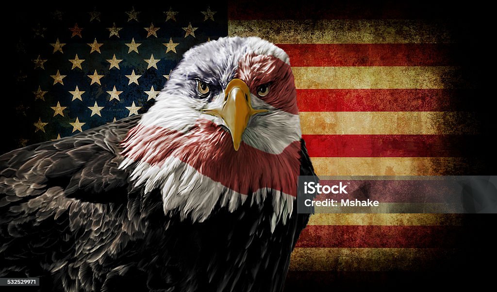 American Bald Eagle on Grunge Flag Oil painting of a majestic Bald Eagle with the USA flag across it's face against a photo of a battle distressed American Flag. Bald Eagle Stock Photo