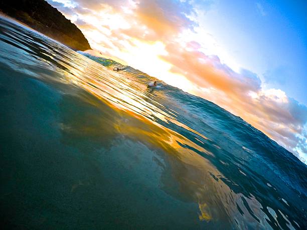 istock Bodysurfing Waimea Bay Hawaii 532530049