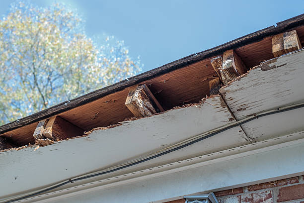 Soffits and Rafters in Need of Repair stock photo