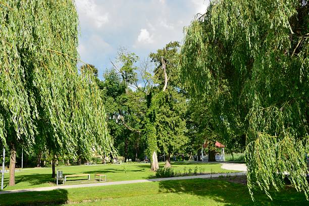 istock Green parks in Poland 532530871