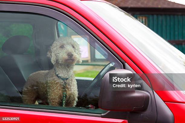 Dog Waiting For His Owner Stock Photo - Download Image Now - Car, Dog, Heat - Temperature