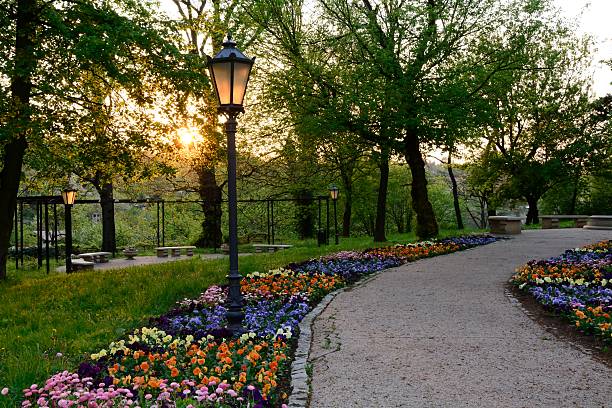 istock Green parks in Poland 532531875
