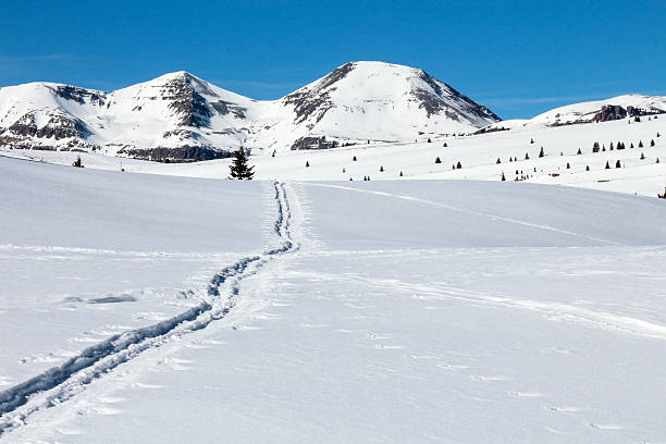 istock Nordic ski track through snow to peaks 532533973