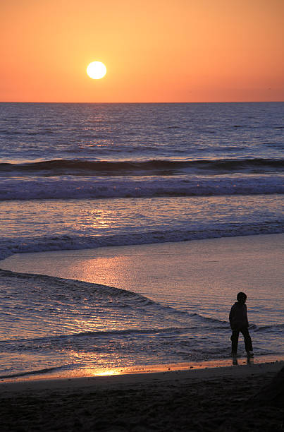 istock Child Walks on Santa Monica Beach at Sunset 532535651