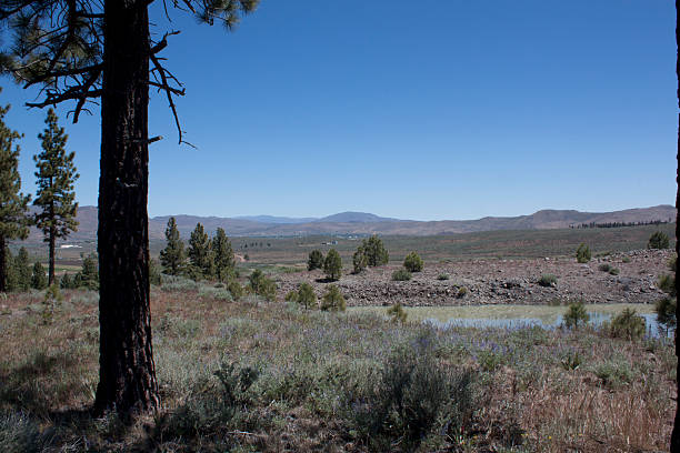 istock High angle of the Sierra Nevadas 532547636