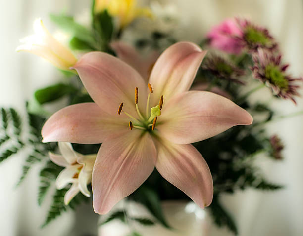 istock Close up on a pink lilium in a bouquet 532547696