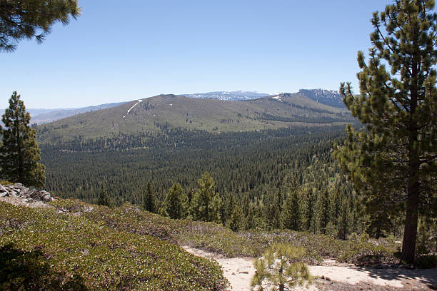 istock High angle of the Sierra Nevadas 532547706